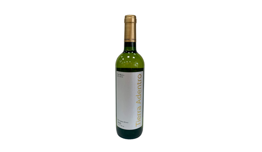 Sauvignon blanc - Tierra Adentro
